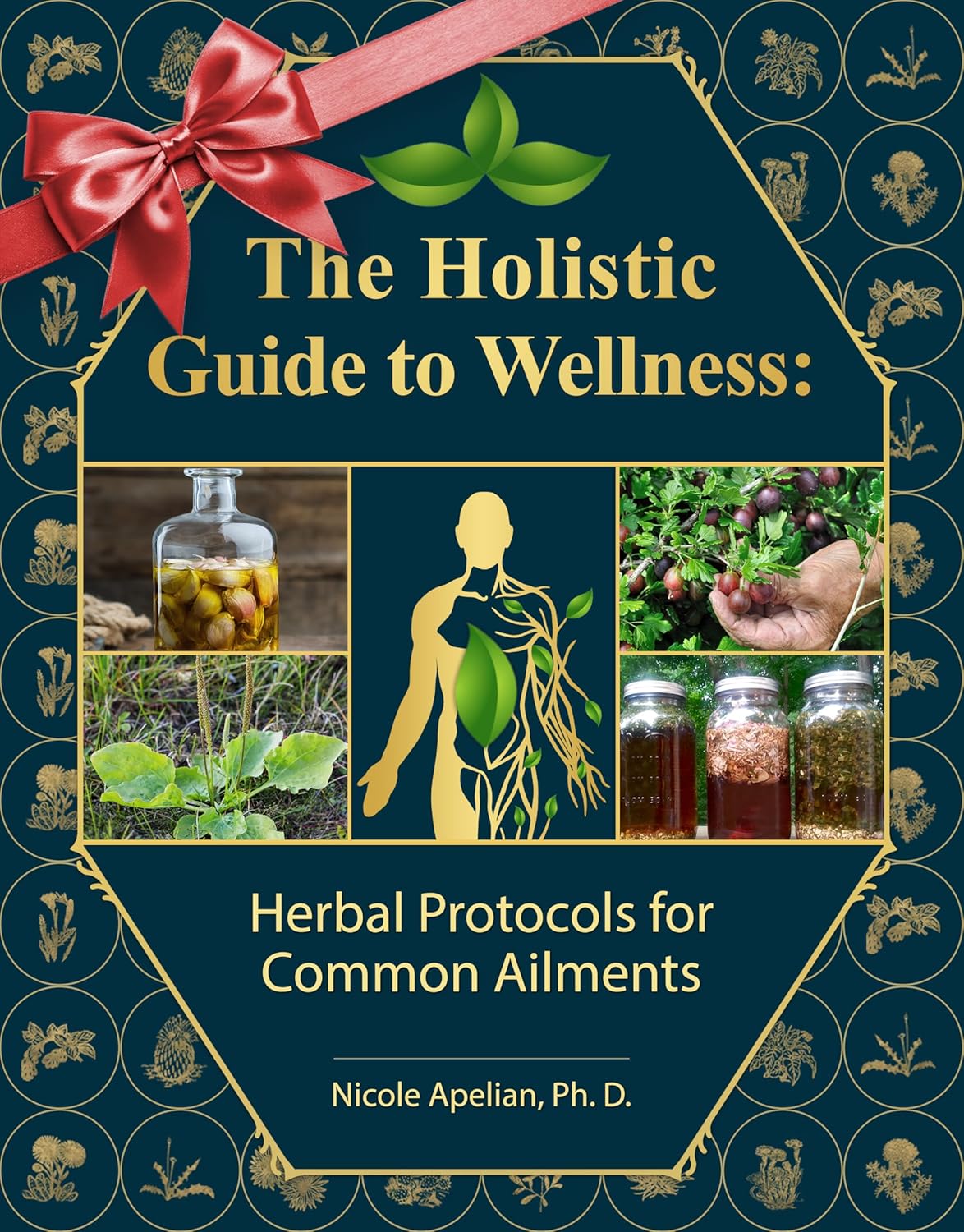 The Holistic Guide to Wellness : Herbal Protocols for Common Ailments