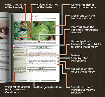 Forgotten Home Apothecary : 250 Powerful Remedies at Your Fingertips
