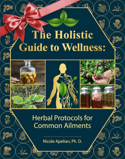 The Holistic Guide to Wellness : Herbal Protocols for Common Ailments