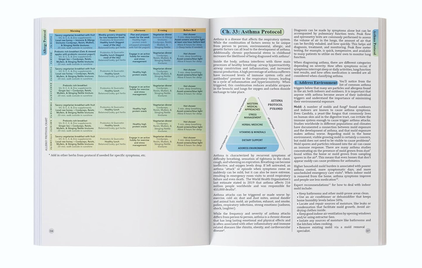 The Holistic Guide to Wellness : Herbal Protocols for Common Ailments