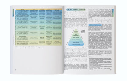 The Holistic Guide to Wellness : Herbal Protocols for Common Ailments