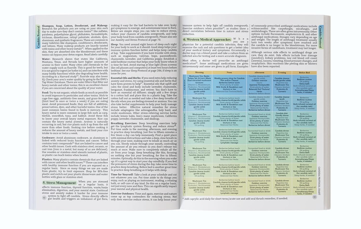 The Holistic Guide to Wellness : Herbal Protocols for Common Ailments