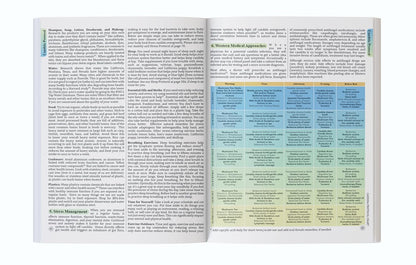 The Holistic Guide to Wellness : Herbal Protocols for Common Ailments